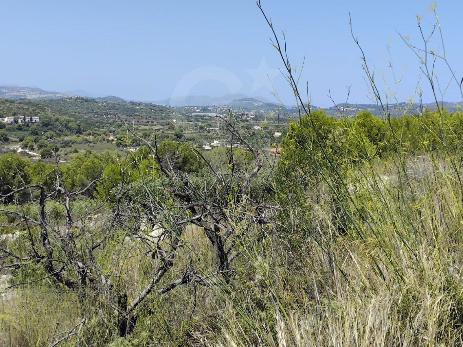 Inversión en Naturaleza: Finca Rústica en Tarraula