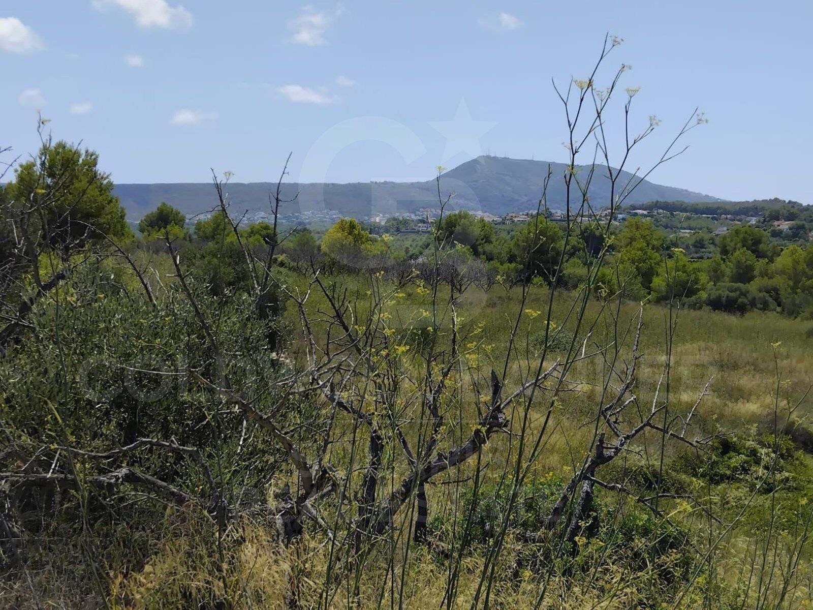 Investition in die Natur: Rustikale Finca in Tarraula