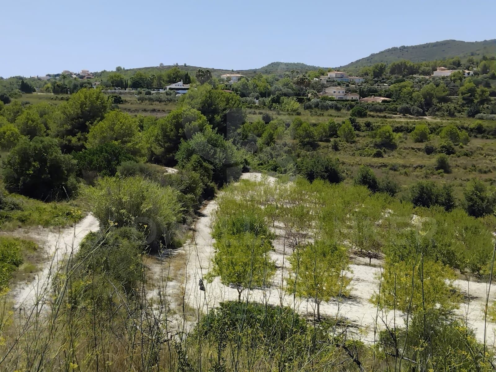 Investition in die Natur: Rustikale Finca in Tarraula
