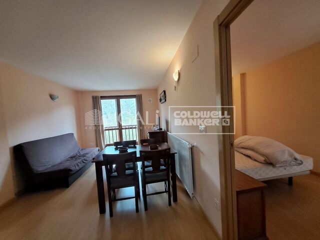 Apartment 1 Bedroom Sale Canillo