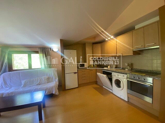 Apartment 1 Bedroom Sale Canillo