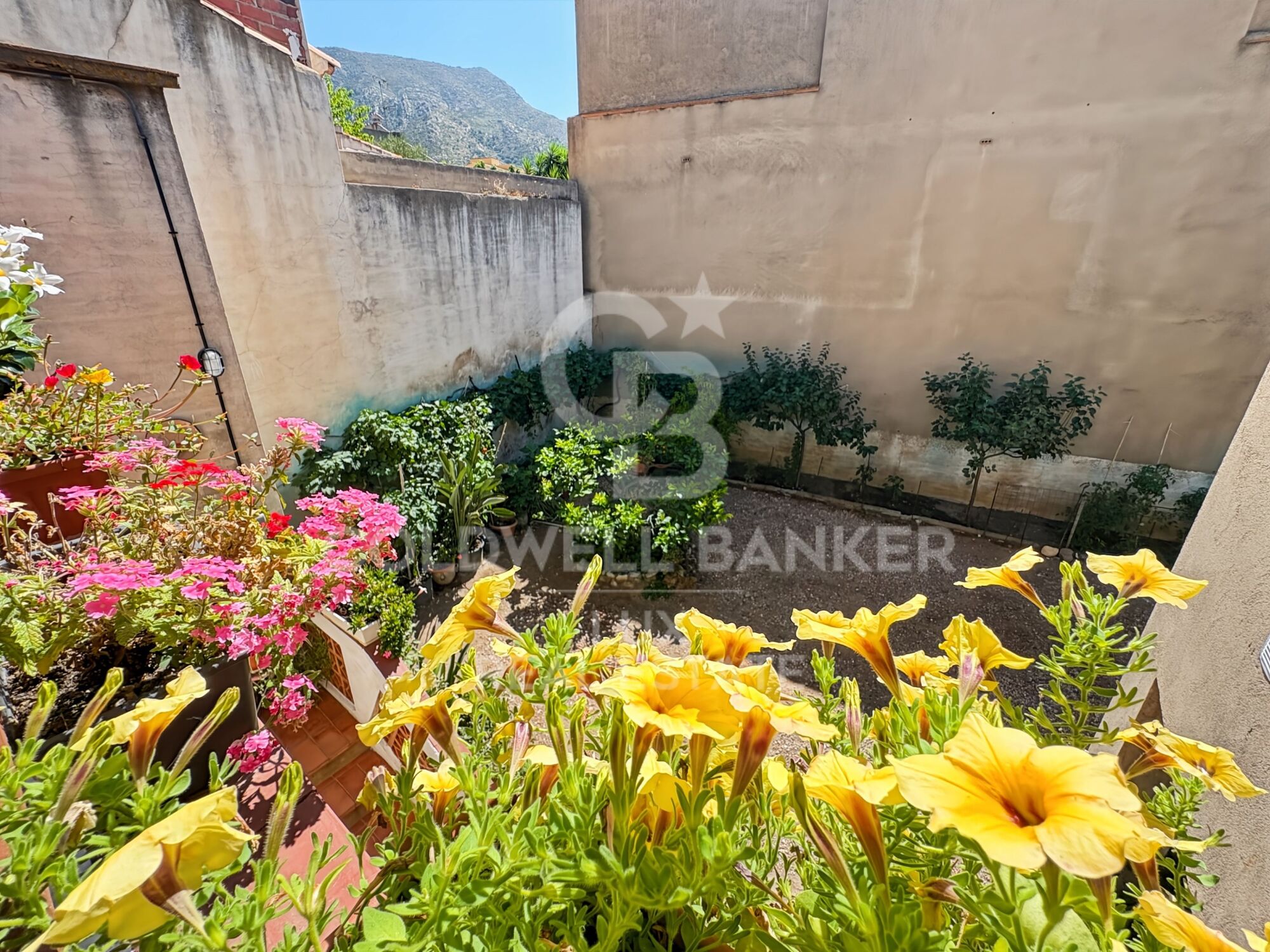 Terraced house in Palau Savardera