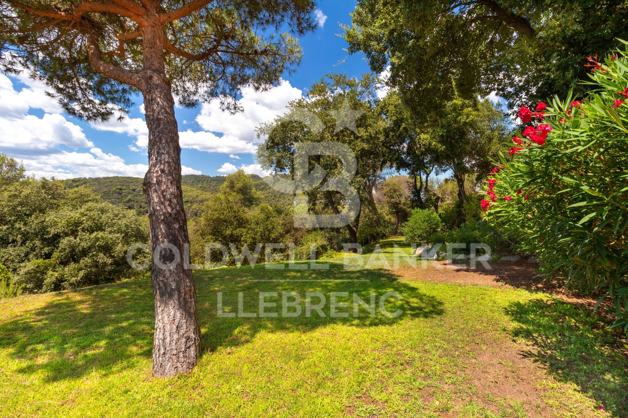 Espectacular casa con piscina y gran jardín en Vallvidrera
