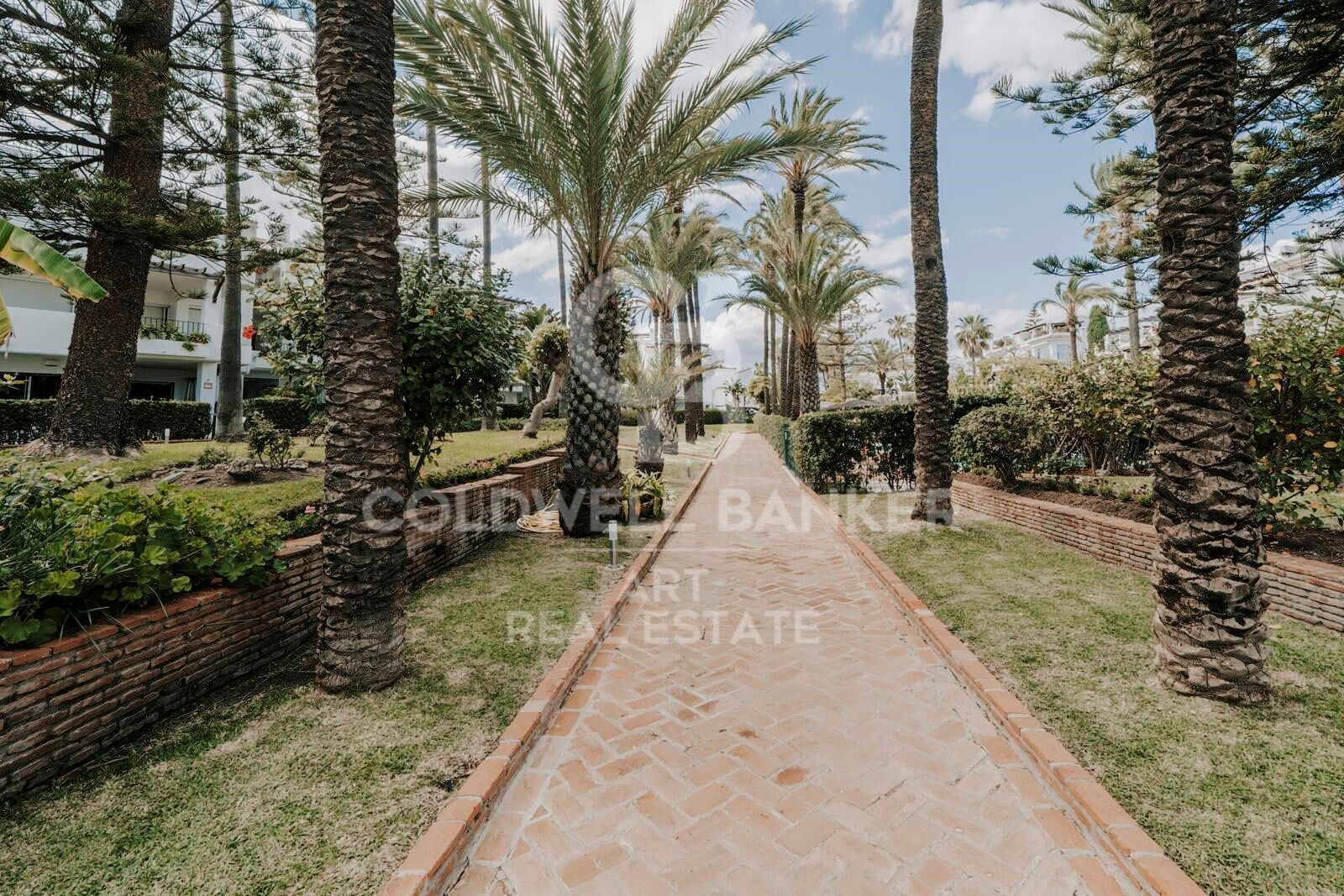 Beachfront Corner Apartment with High Investment Potential in San Pedro Playa