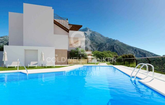 Apartments with panoramic views in Istán