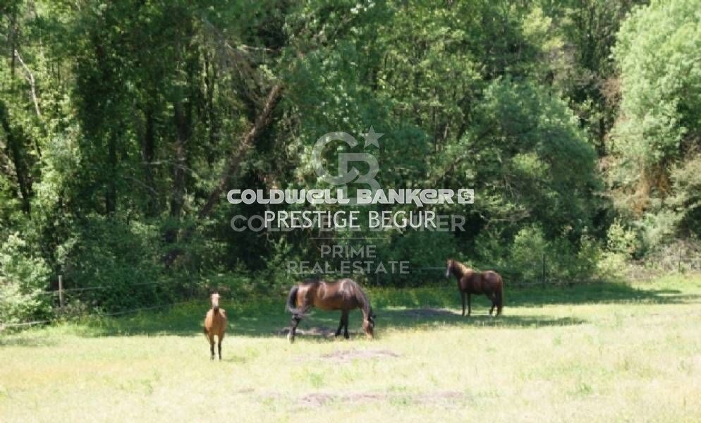 Country property with stables and training grounds just minutes from PGA Golf