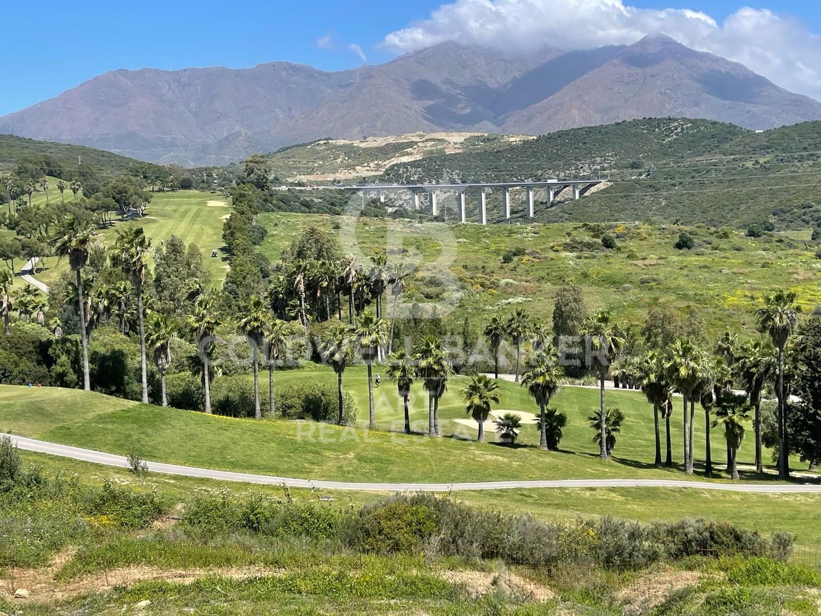 Proyecto de 14 parcelas en primera línea de golf, Estepona, Costa del Sol