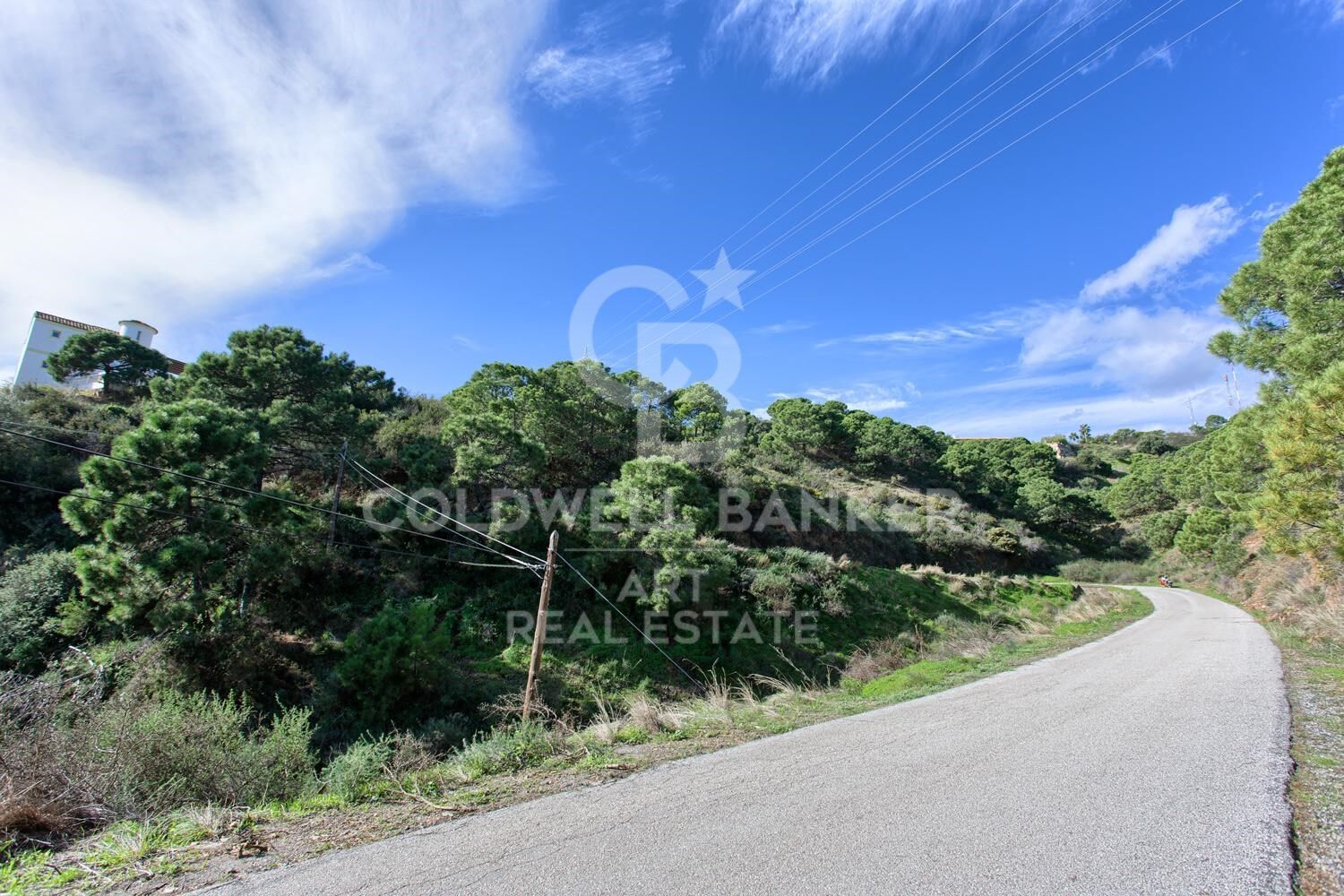 Terrain rustique de 5.000m² avec vue sur la mer et les montagnes - Los Reales, Estepona