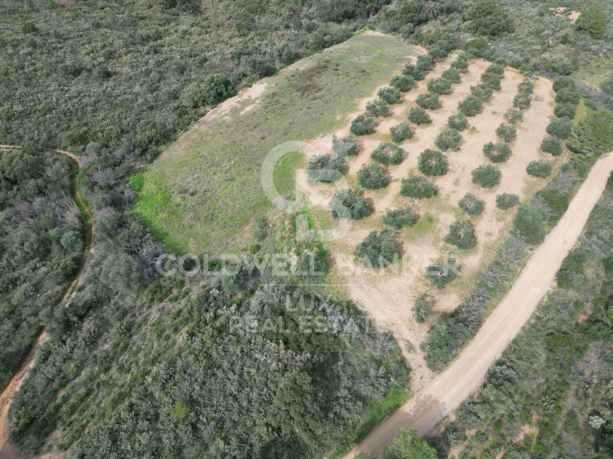 Land in Peralada (39 u.)