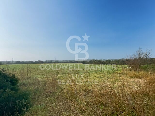 Grundstücke in Peralada (39)