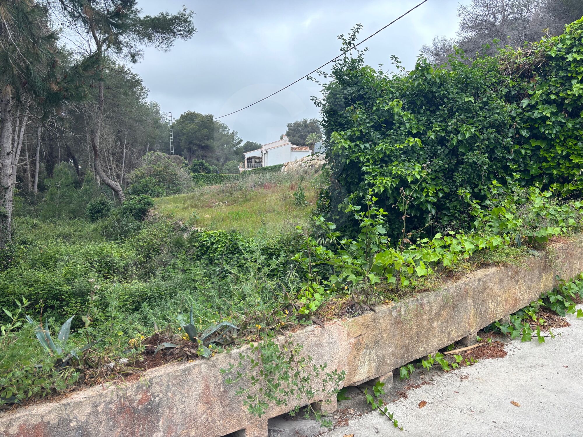 Begoña 21 in El Tossalet: Where life makes sense