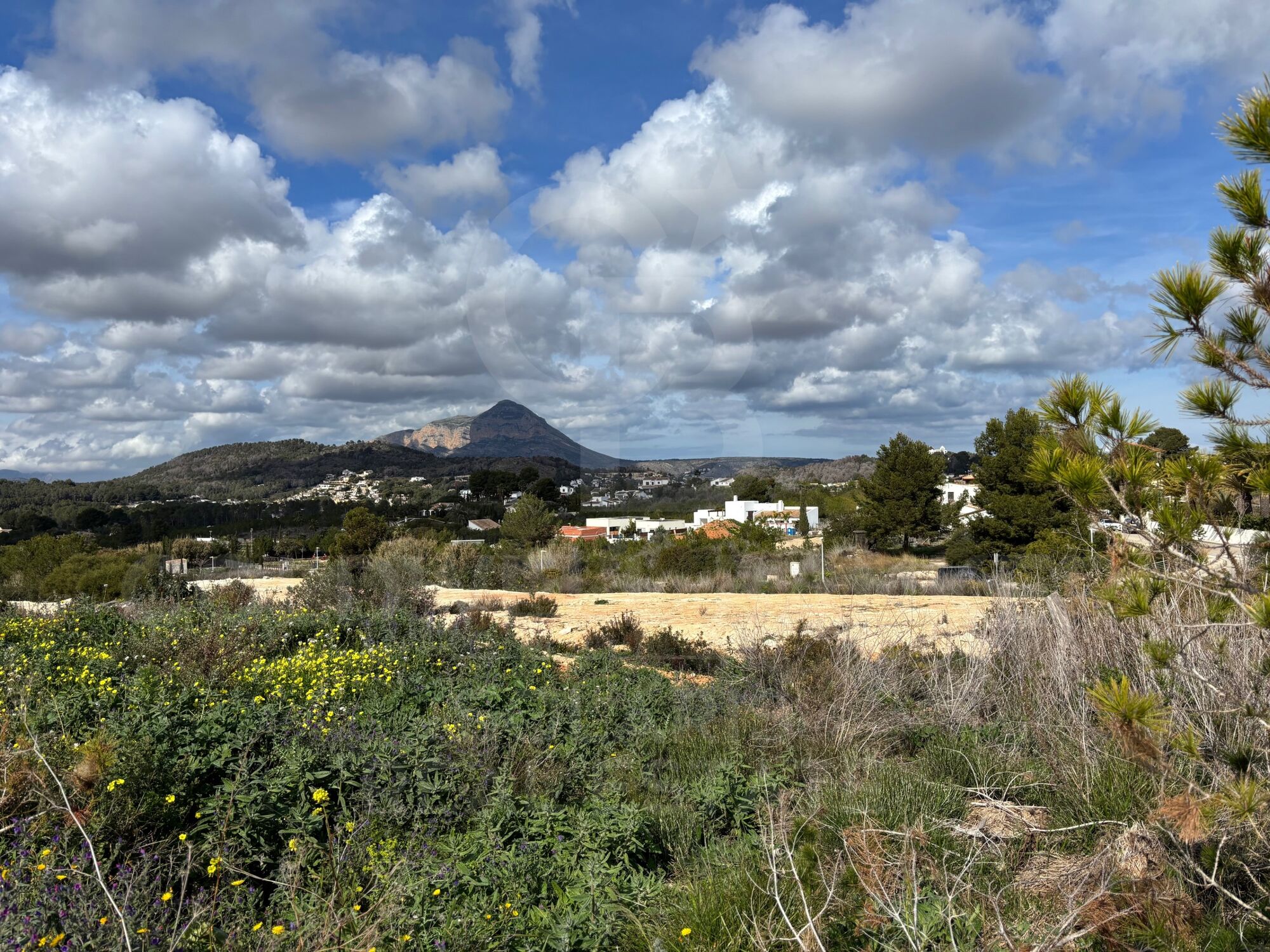 Proyecto Cordero: Live the design