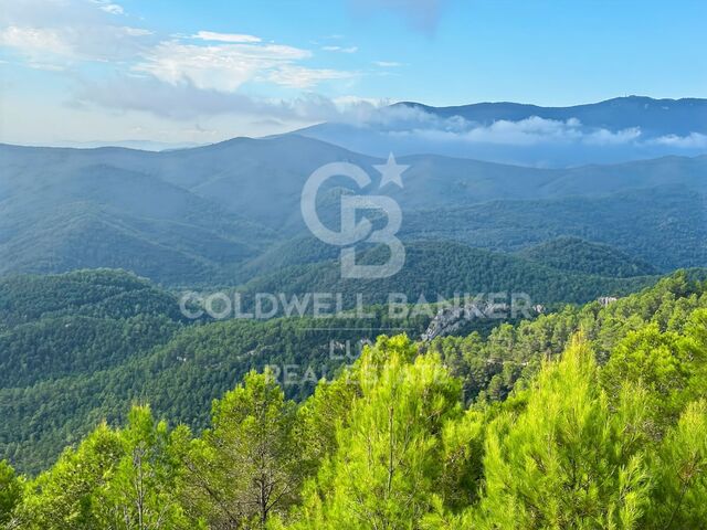 Terrain de 221 hectares à Sant Llorenç de la Muga